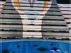 -帝企鹅自助餐厅•儿童岛•真企鹅(长隆企鹅酒店)