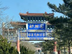 -西霞口神雕山野生动物世界