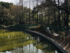 -黄兴公园