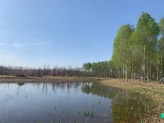 -东郊湿地公园