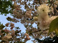 -范蠡湖公园