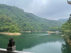 -鼎湖山风景区