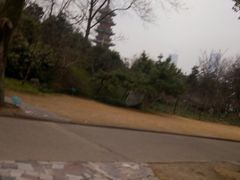 -上海市龙华烈士陵园