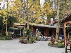 -青城甲(青城山店)