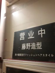 点击看大图 -藤野造型