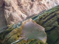 -珠海长隆海洋王国