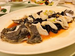 清蒸多宝鱼-利苑酒家(宜安广场店)