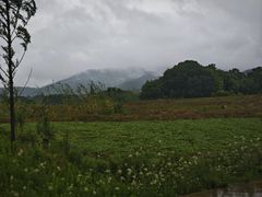 -南京市无想山景区