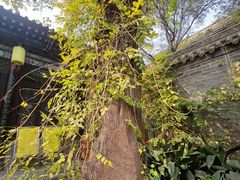 -湘子庙