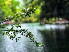 -棠湖公园