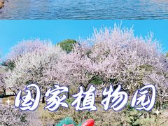 -国家植物园