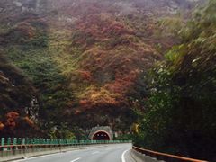 -秦岭终南山公路隧道公司
