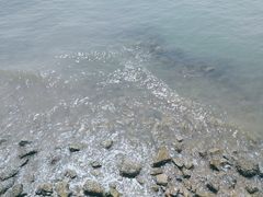-东疆建设开发纪念公园