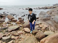 -广东惠东海龟国家级自然保护区