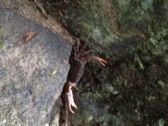iphone_upload_pic-七仙岭温泉国家森林公园