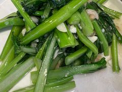 油渣菜心-湖南乡情湘菜馆(罗湖店)