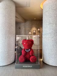 -VELEE·SPA高定疗愈会所