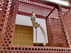 -二酉书店TOYOU BOOKS