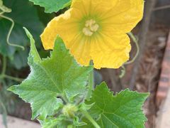 -海皇食府(水都假日酒店店)