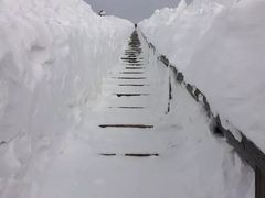 -长白山万达国际滑雪场