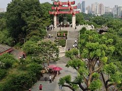 -黄鹤楼公园(黄鹤楼)