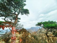 -大连天门山国家森林公园