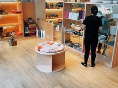 -Pets First伊珊娜洗护·精致美容·家庭式寄养(新会路店)