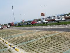 -滕头生态酒店(奉化店)