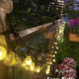 藏在CBD的空中花园~快来感受这份惬意与美好吧!