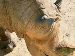 -哈尔滨北方森林动物园