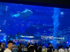 -成都浩海立方海洋公园