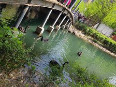 -长白岛森林公园