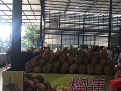 -东芭乐园