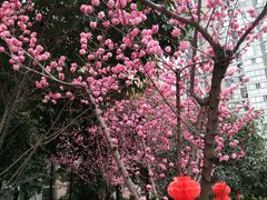 -沙河三洞古桥公园