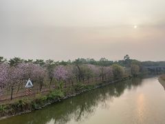 -广东花都湖国家湿地公园