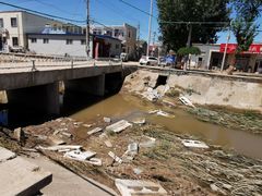 -苏家坨柳林村二月兰花海