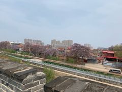 -大名府
