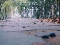 -菊花台公园