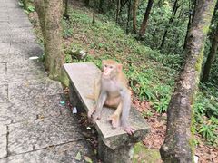 -梧桐山风景名胜区