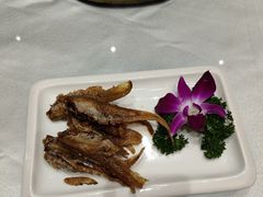 -老人和饭店(淮海中路店)