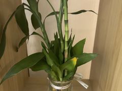 -岚魅儿·洗头头疗·按摩SPA(金光华店)