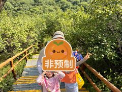 -大青沟风景区