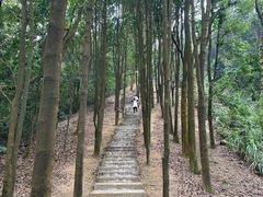 -广州市帽峰山景区