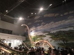 -自贡恐龙博物馆