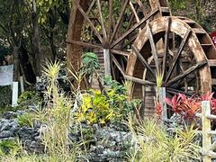 -广州白江湖森林公园