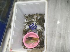 -阳澄湖大闸蟹·琼灵阁牌品牌连锁(吴中总店)