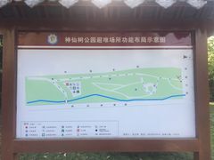 -神仙树公园