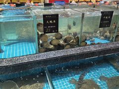 -渔码头食府(蓬莱阁店)