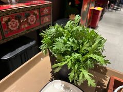 -山城辣妹子(定福庄店)