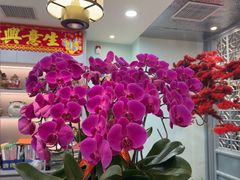 -又一间茶点轩(宝业路店)
